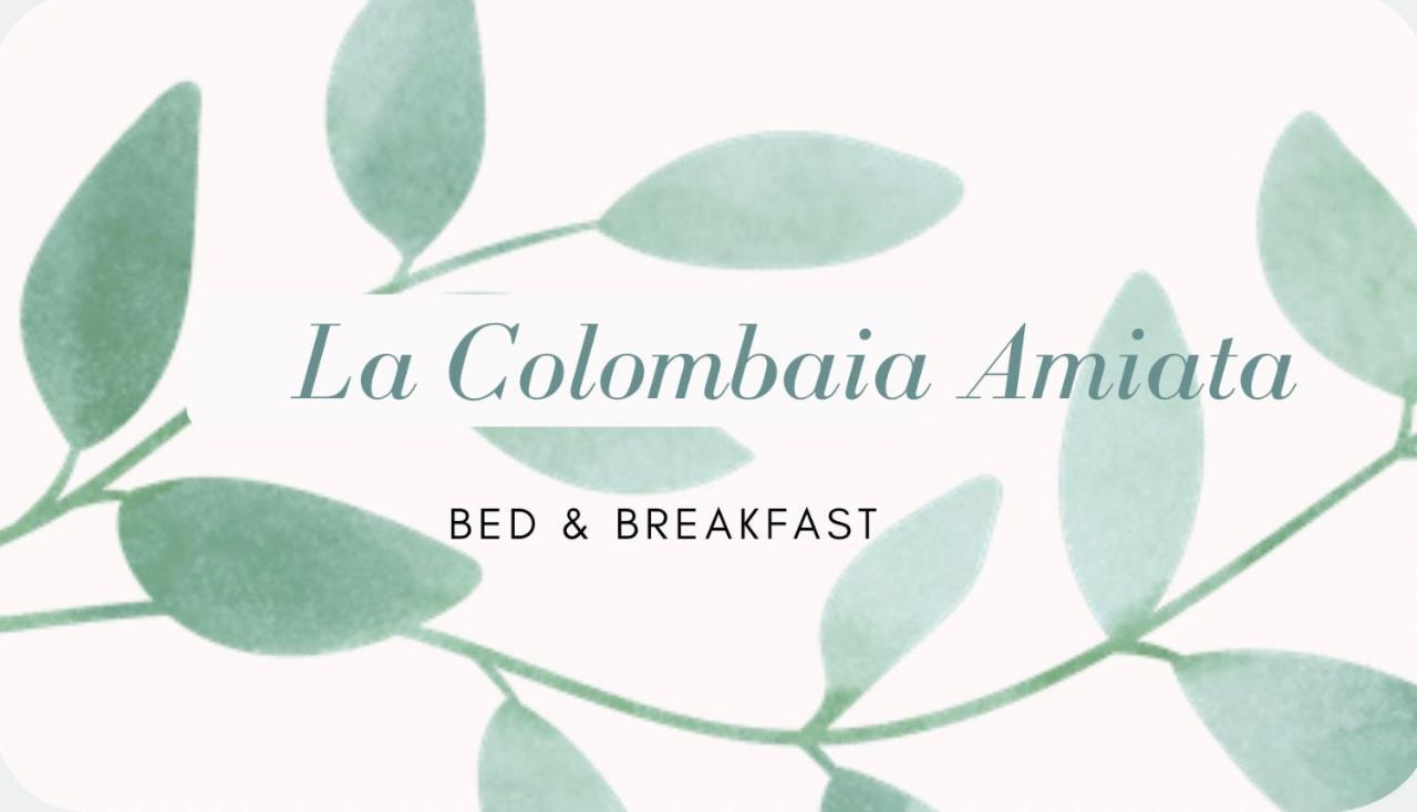 Bed and Breakfast La Colombaia Amiata Арчідоссо Екстер'єр фото